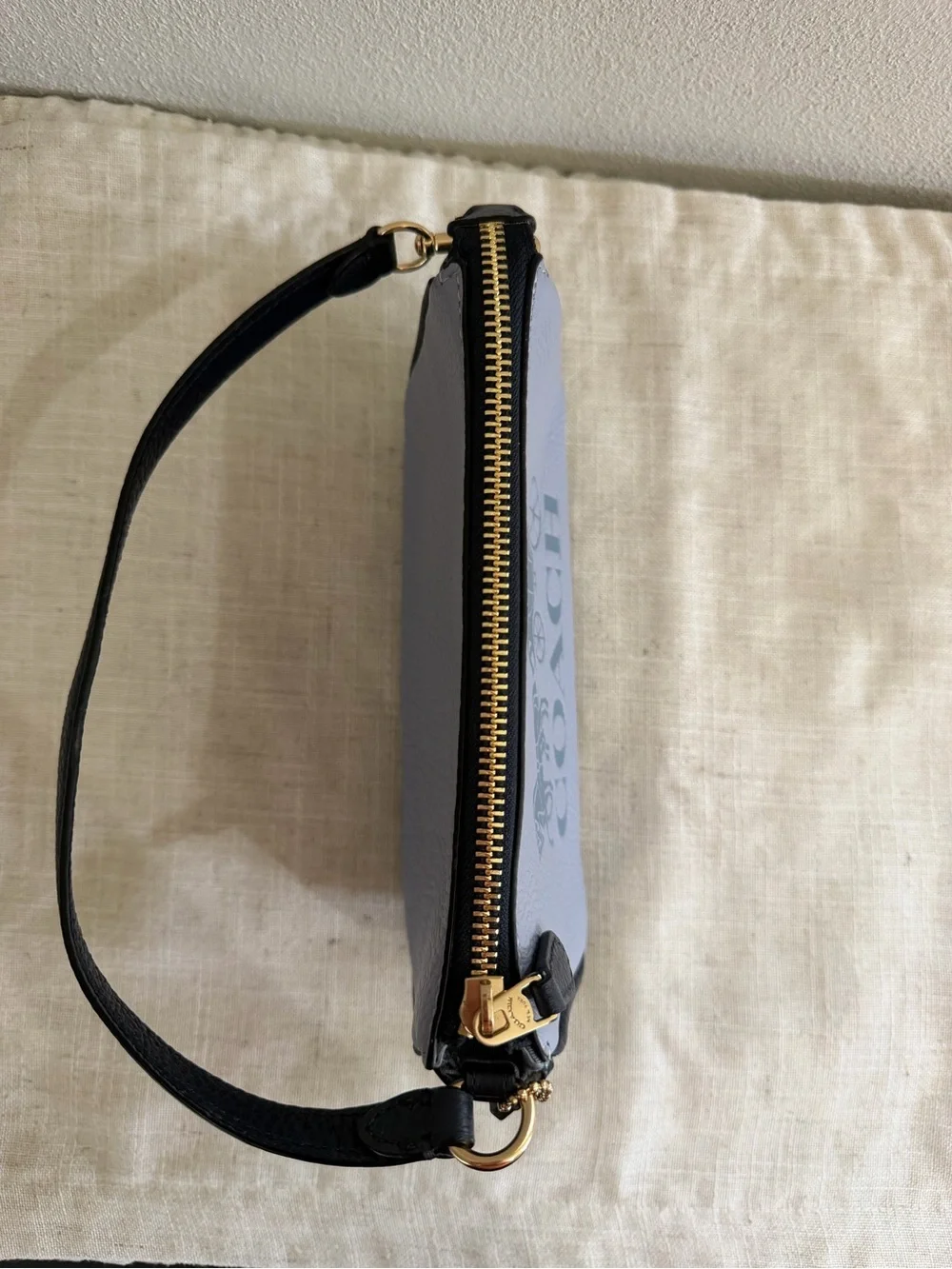 Coach Nolita 19 Horse and Carriage Colorblock Mini Bag Wristlet in Twilight